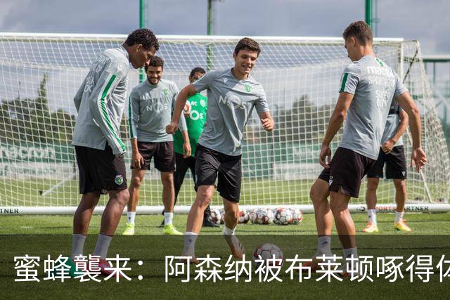 蜜蜂襲来：阿森纳被布莱顿啄得体无完肤
